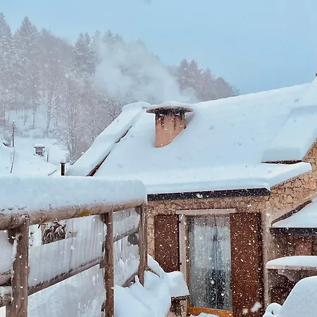 Ongarrelax Bosco Chiesanuova