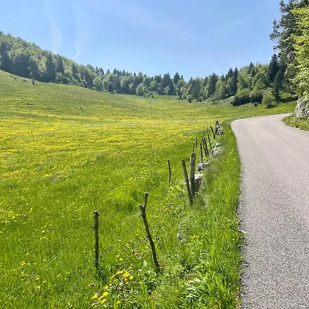 Ongarrelax * Bosco Chiesanuova