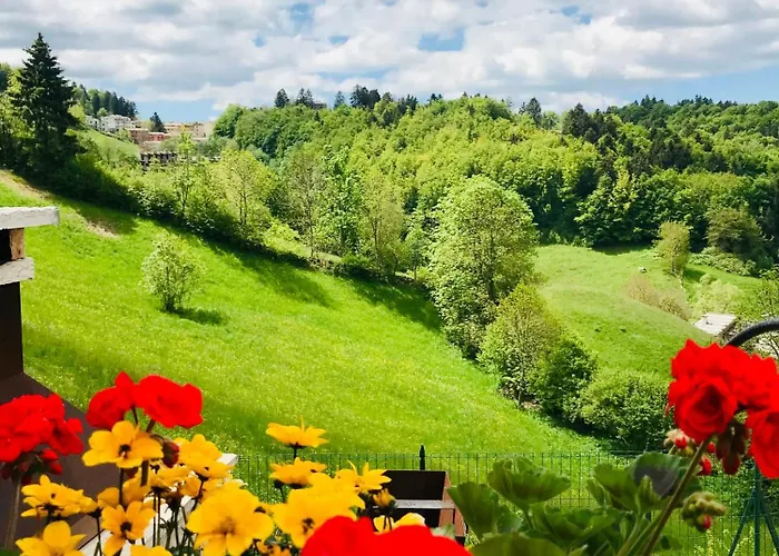 Apartman Ongarrelax *