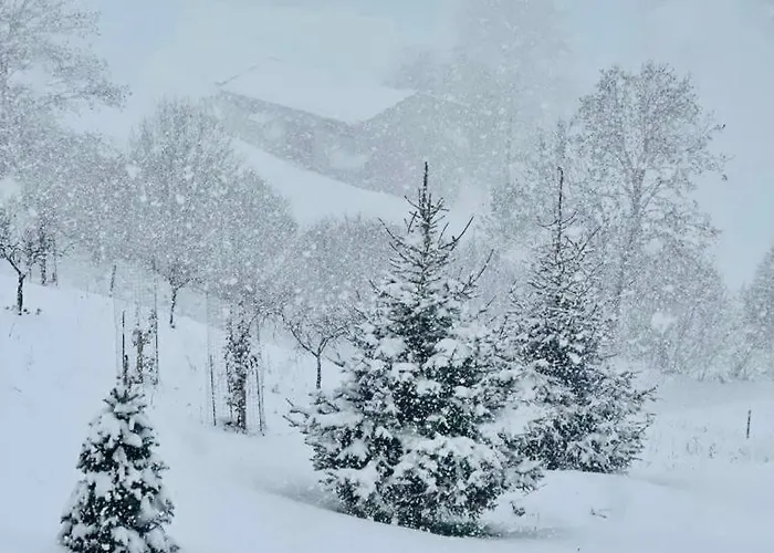 아파트 Ongarrelax 보스코 키에사누오바