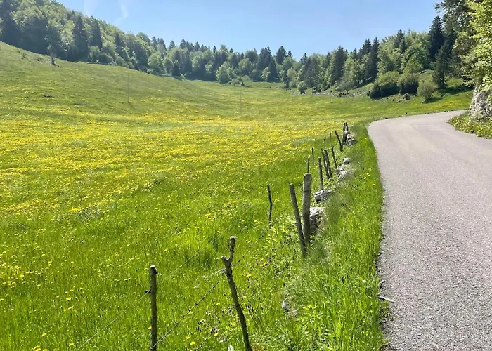 Ongarrelax * בוסקו קיזנובה